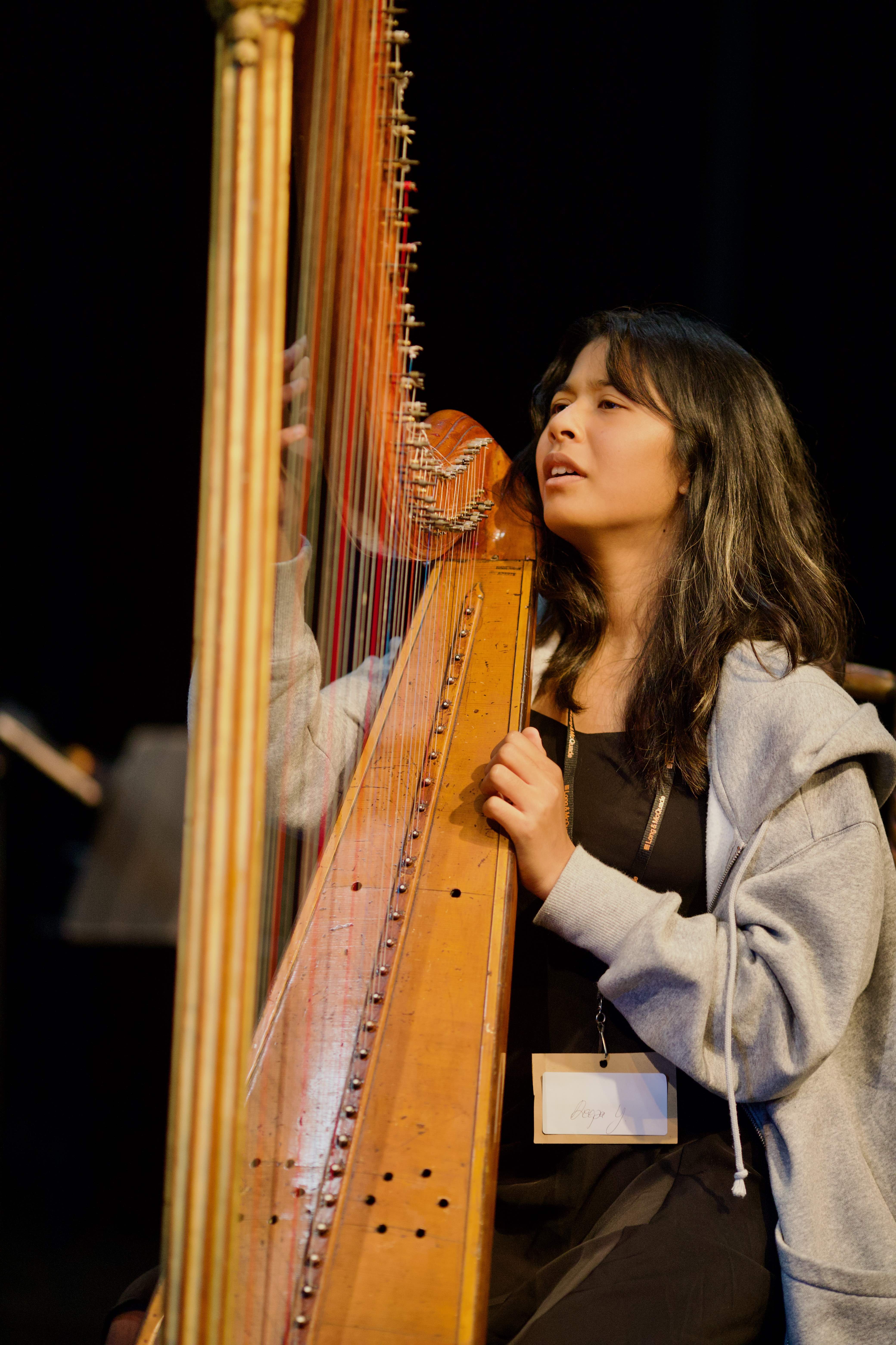 Everyone trying every harp