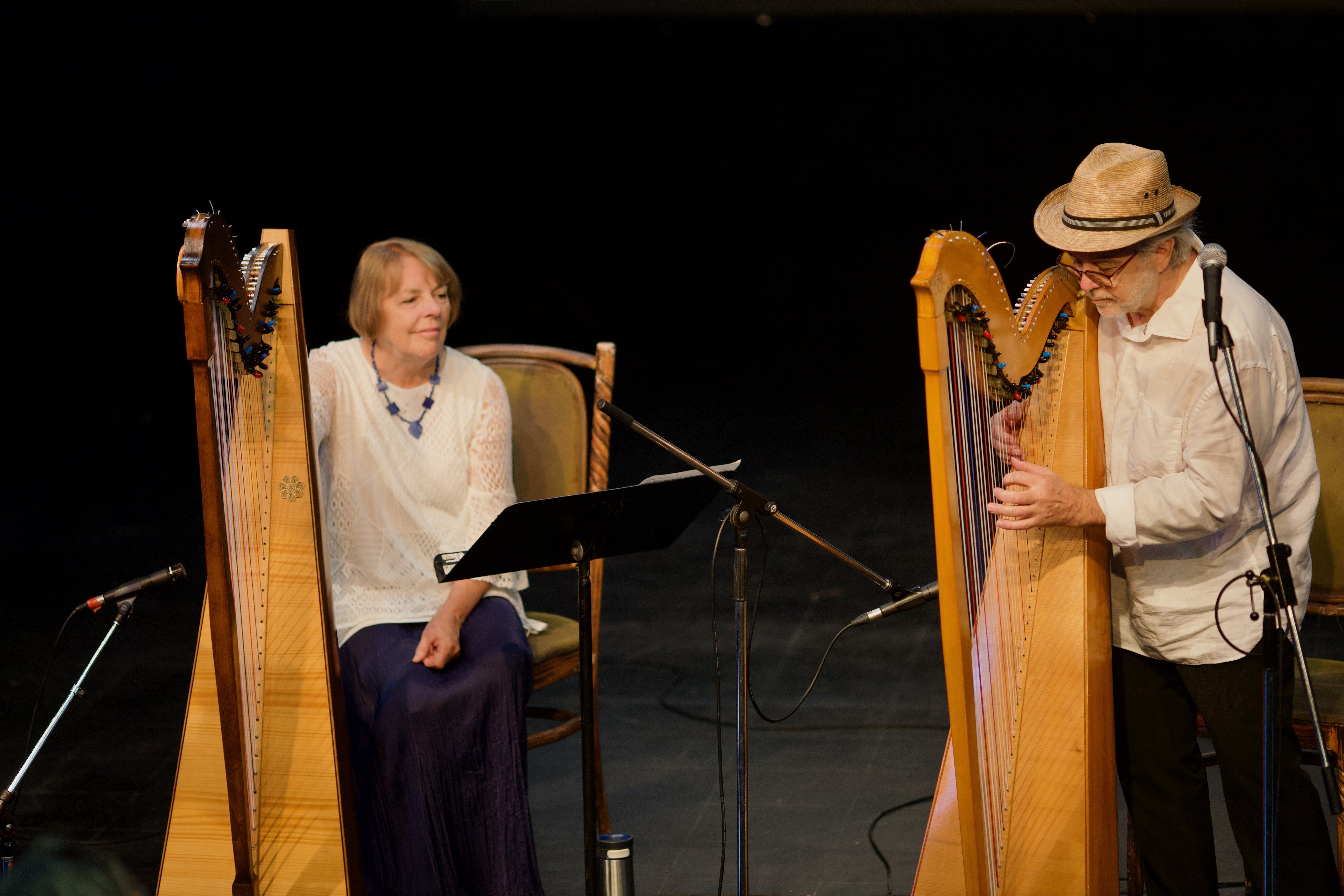 Paraguayan-style harp demo
