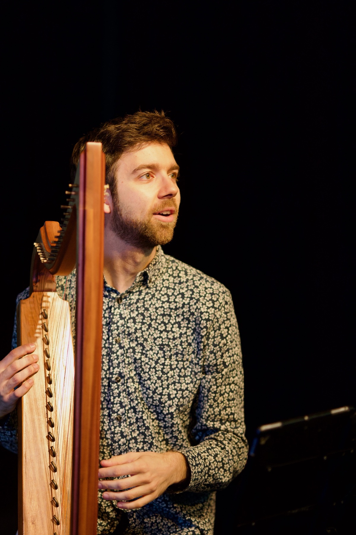 A harpist performing at the Journée de la Harpe festival