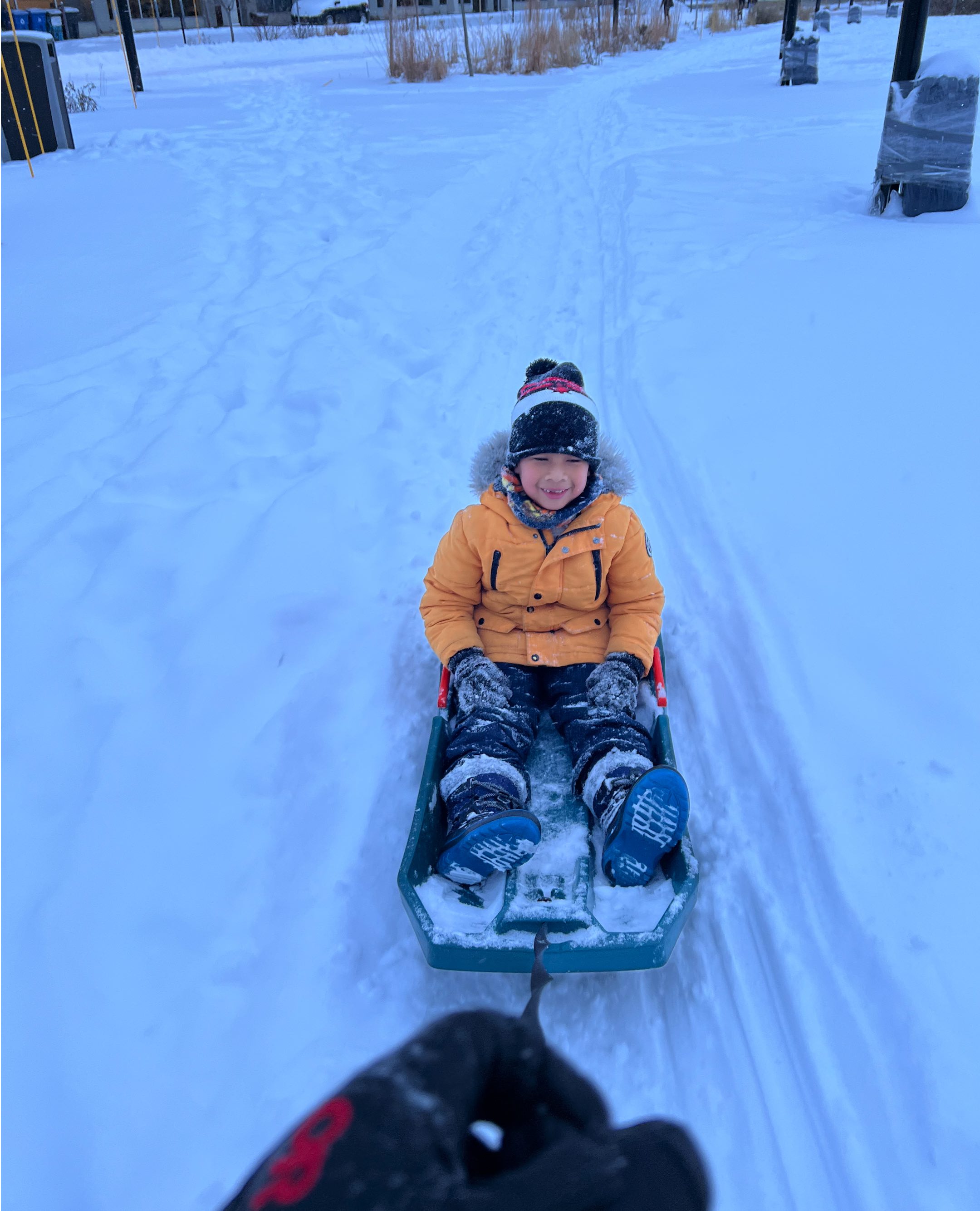 winter sledding