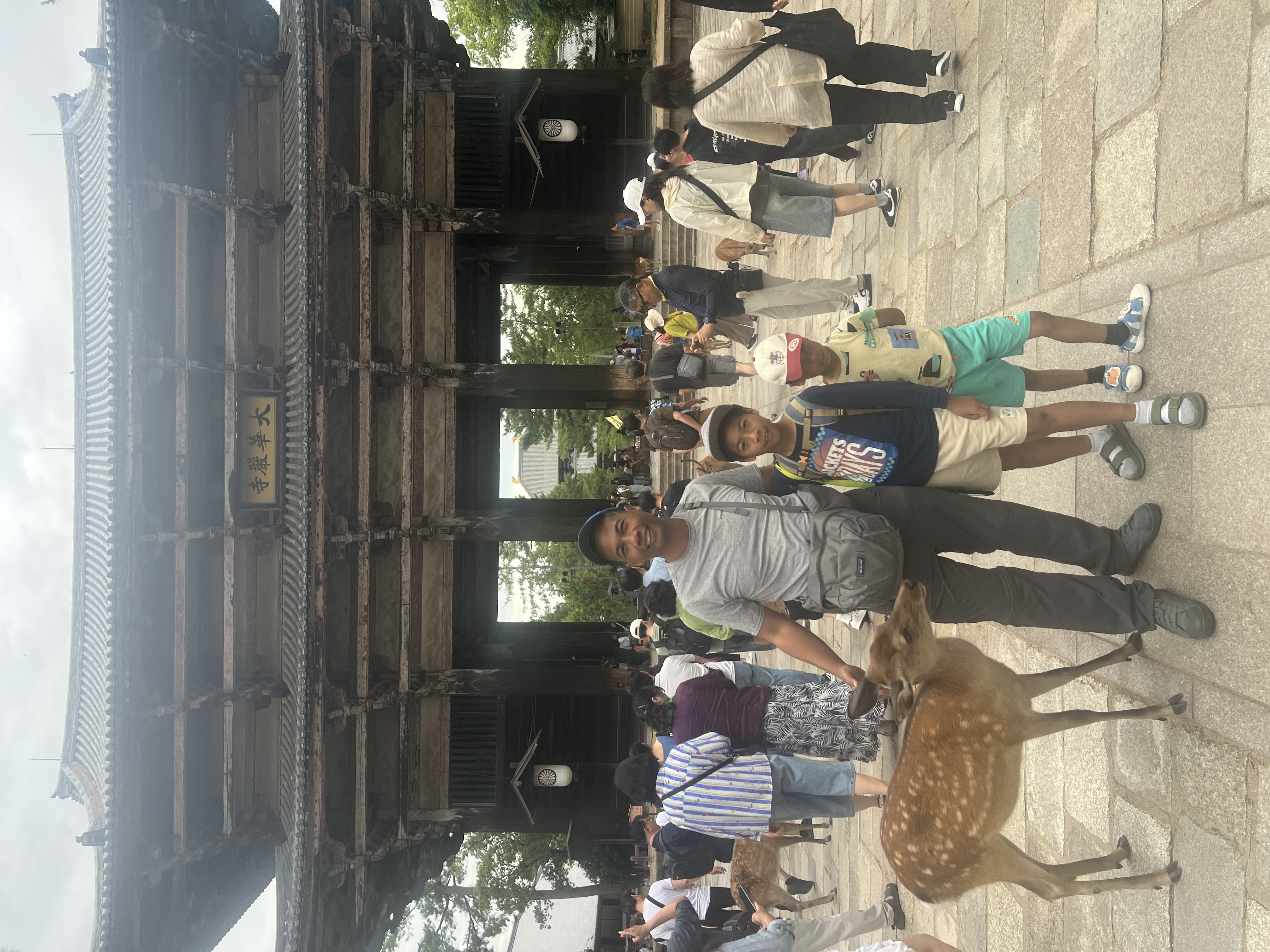 The Deer at the Door of the World's Largest Wooden Room