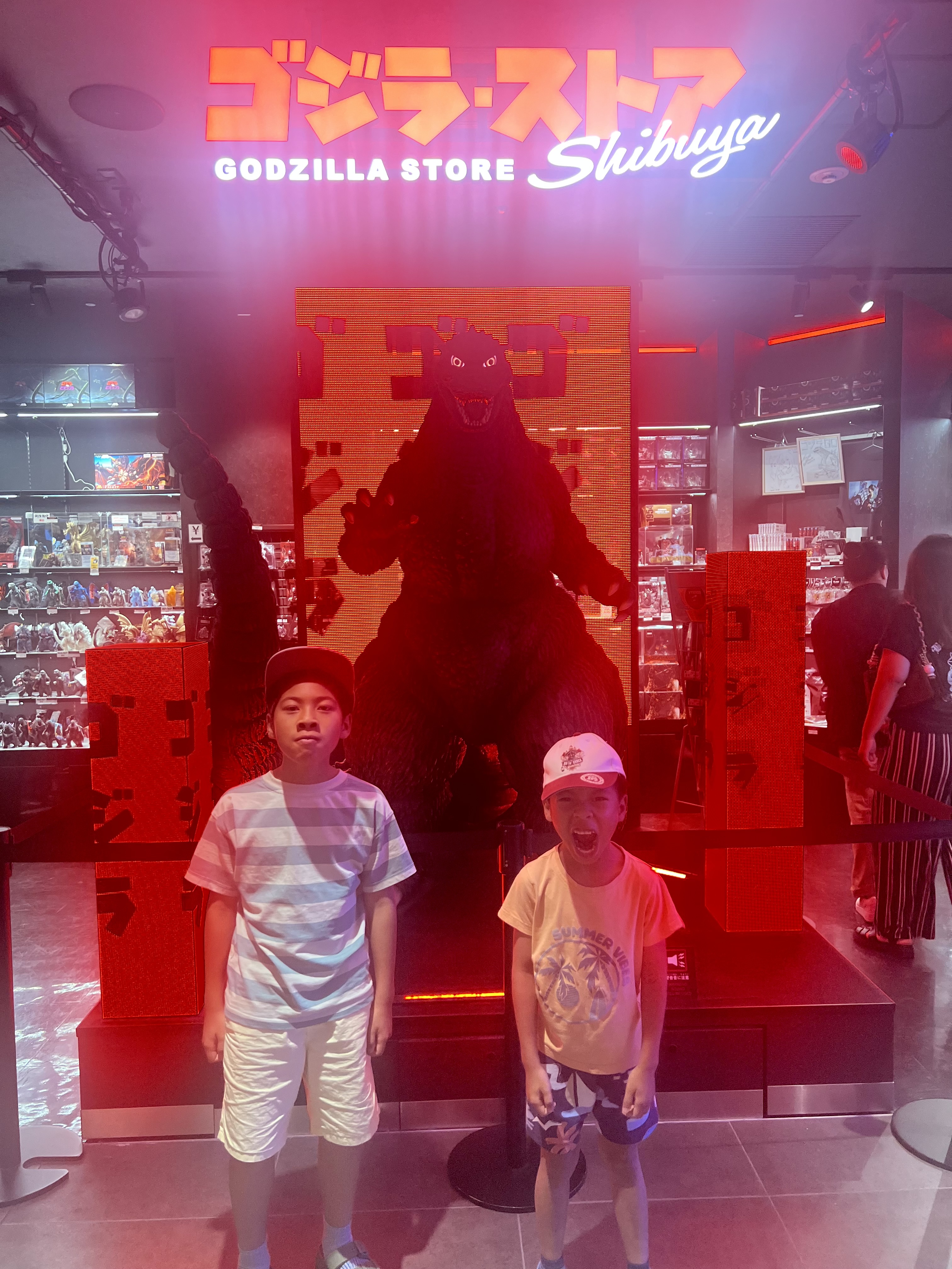 Godzilla Was Indoors